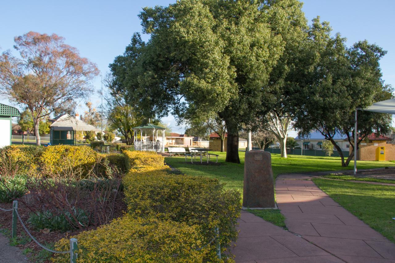 - Nsw